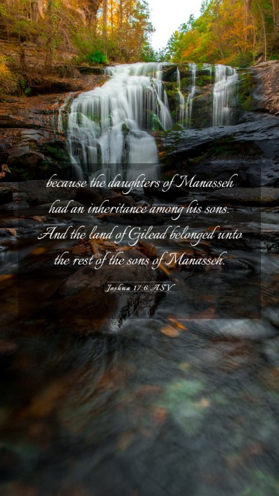 Picture 03 - Joshua 17:6 ASV Mobile Phone Wallpaper - because the daughters of Manasseh had an - Mobile Bible Verse Wallpaper