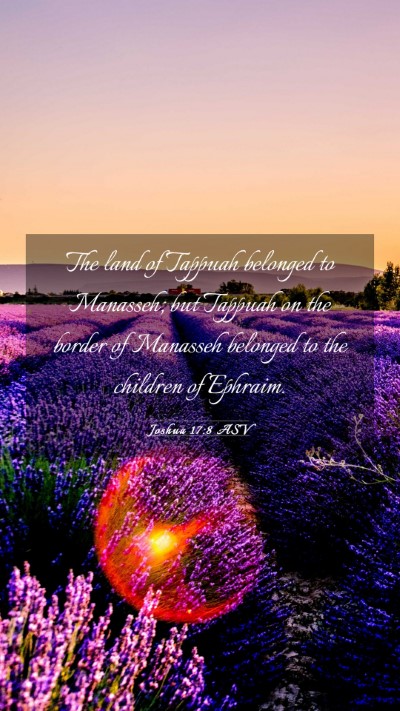 Picture 03 - Joshua 17:8 ASV Mobile Phone Wallpaper - The land of Tappuah belonged to Manasseh; but - Mobile Bible Verse Wallpaper