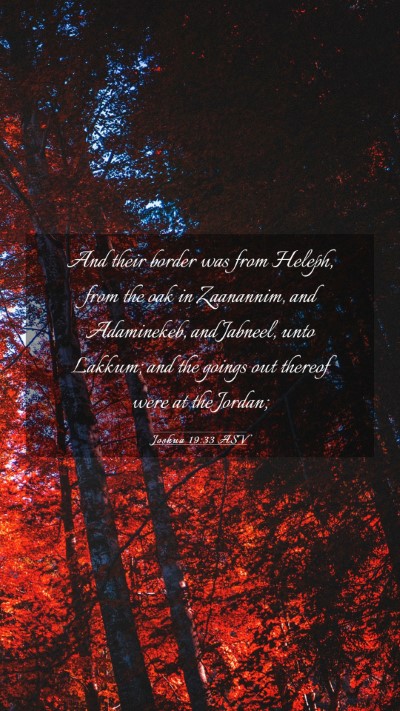 Picture 03 - Joshua 19:33 ASV Mobile Phone Wallpaper - And their border was from Heleph, from the oak in - Mobile Bible Verse Wallpaper