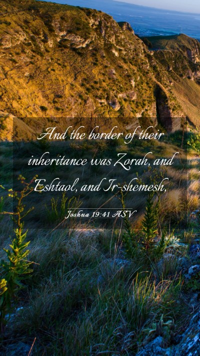 Picture 03 - Joshua 19:41 ASV Mobile Phone Wallpaper - And the border of their inheritance was Zorah, - Mobile Bible Verse Wallpaper