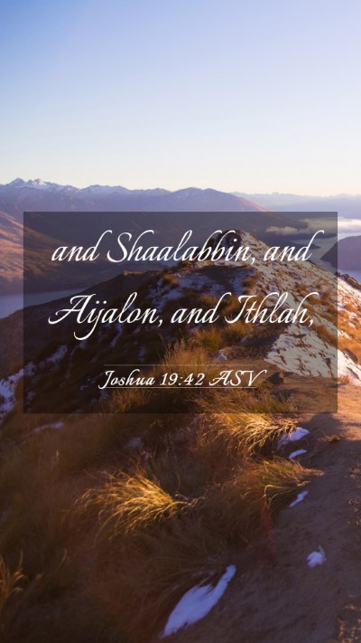 Picture 03 - Joshua 19:42 ASV Mobile Phone Wallpaper - and Shaalabbin, and Aijalon, and - Mobile Bible Verse Wallpaper