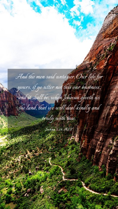 Picture 03 - Joshua 2:14 ASV Mobile Phone Wallpaper - And the men said unto her, Our life for yours, if - Mobile Bible Verse Wallpaper