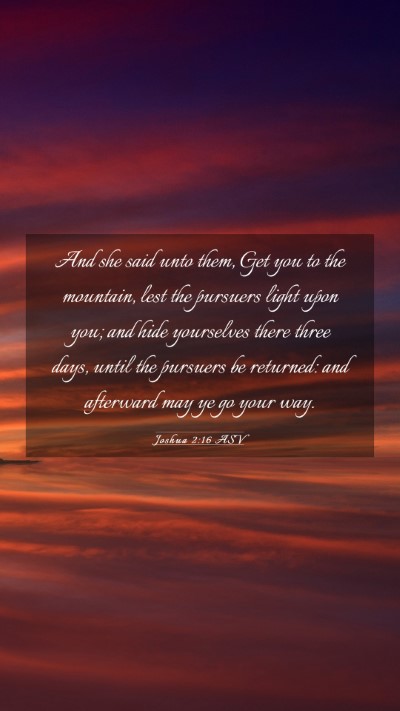 Picture 03 - Joshua 2:16 ASV Mobile Phone Wallpaper - And she said unto them, Get you to the mountain, - Mobile Bible Verse Wallpaper