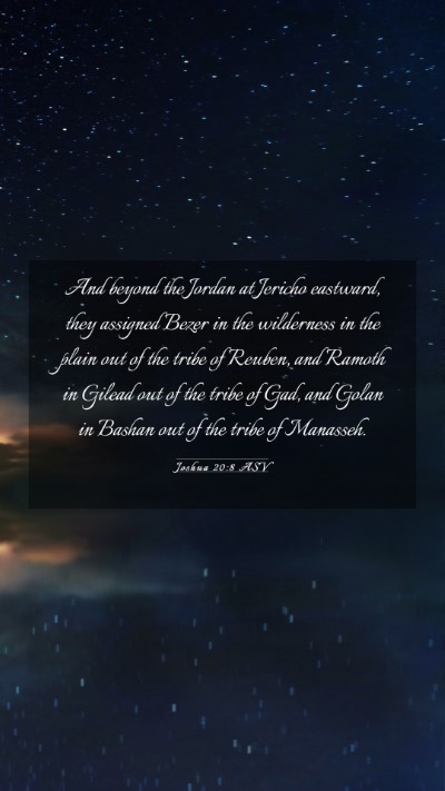 Picture 03 - Joshua 20:8 ASV Mobile Phone Wallpaper - And beyond the Jordan at Jericho eastward, they - Mobile Bible Verse Wallpaper