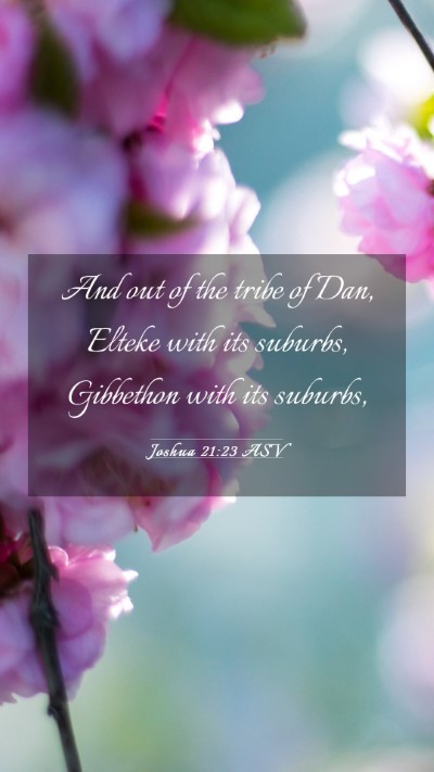 Picture 03 - Joshua 21:23 ASV Mobile Phone Wallpaper - And out of the tribe of Dan, Elteke with its - Mobile Bible Verse Wallpaper