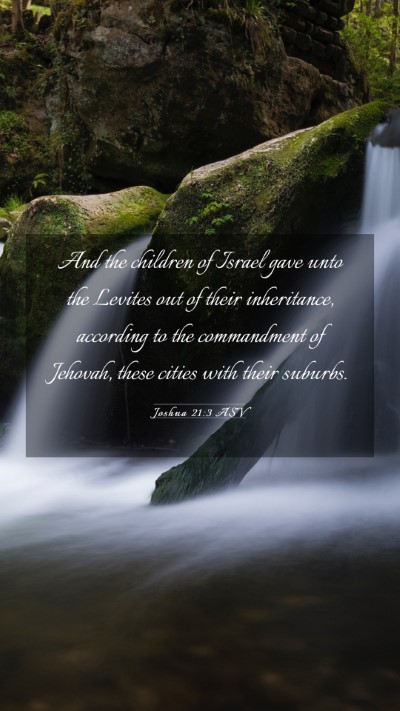 Picture 03 - Joshua 21:3 ASV Mobile Phone Wallpaper - And the children of Israel gave unto the Levites - Mobile Bible Verse Wallpaper