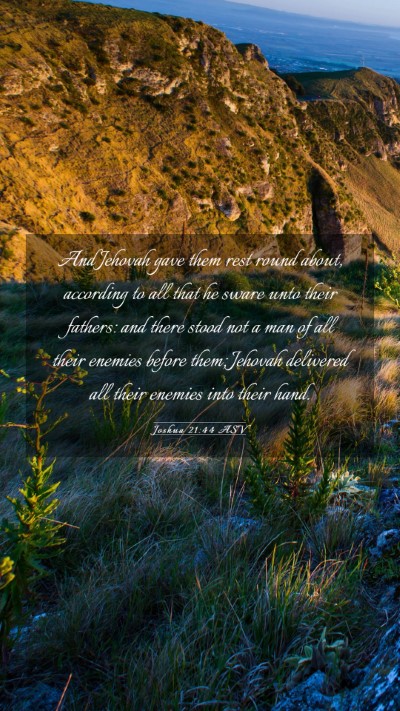 Picture 03 - Joshua 21:44 ASV Mobile Phone Wallpaper - And Jehovah gave them rest round about, according - Mobile Bible Verse Wallpaper