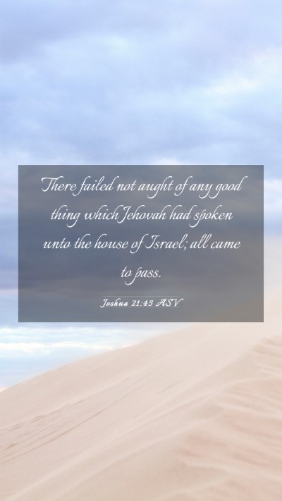 Picture 03 - Joshua 21:45 ASV Mobile Phone Wallpaper - There failed not aught of any good thing which - Mobile Bible Verse Wallpaper