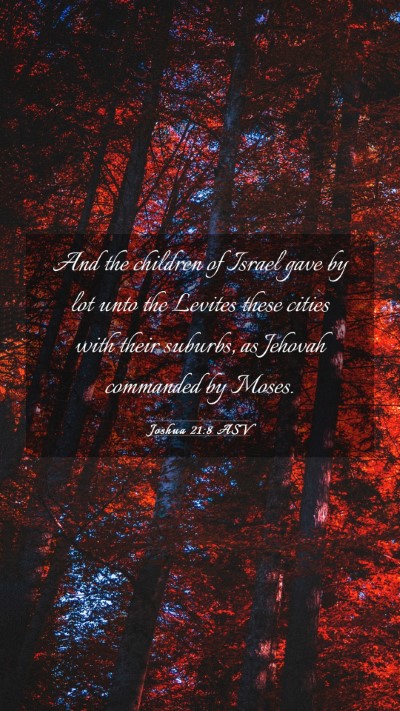 Picture 03 - Joshua 21:8 ASV Mobile Phone Wallpaper - And the children of Israel gave by lot unto the - Mobile Bible Verse Wallpaper