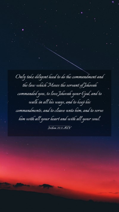 Picture 03 - Joshua 22:5 ASV Mobile Phone Wallpaper - Only take diligent heed to do the commandment and - Mobile Bible Verse Wallpaper