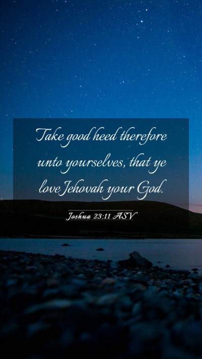 Picture 03 - Joshua 23:11 ASV Mobile Phone Wallpaper - Take good heed therefore unto yourselves, that ye - Mobile Bible Verse Wallpaper