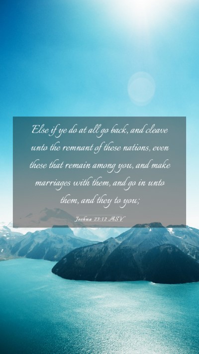 Picture 03 - Joshua 23:12 ASV Mobile Phone Wallpaper - Else if ye do at all go back, and cleave unto the - Mobile Bible Verse Wallpaper