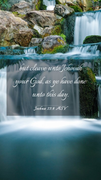 Picture 03 - Joshua 23:8 ASV Mobile Phone Wallpaper - but cleave unto Jehovah your God, as ye have done - Mobile Bible Verse Wallpaper