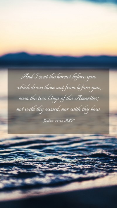 Picture 03 - Joshua 24:12 ASV Mobile Phone Wallpaper - And I sent the hornet before you, which drove - Mobile Bible Verse Wallpaper