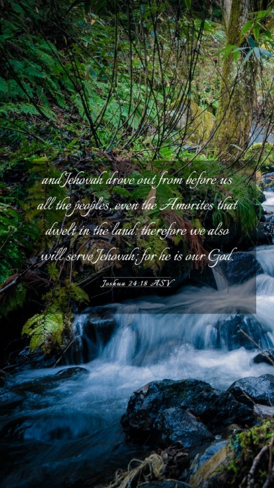 Picture 03 - Joshua 24:18 ASV Mobile Phone Wallpaper - and Jehovah drove out from before us all the - Mobile Bible Verse Wallpaper
