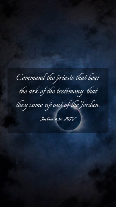 Picture 03 - Joshua 4:16 ASV Mobile Phone Wallpaper - Command the priests that bear the ark of the - Mobile Bible Verse Wallpaper
