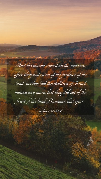 Picture 03 - Joshua 5:12 ASV Mobile Phone Wallpaper - And the manna ceased on the morrow, after they - Mobile Bible Verse Wallpaper