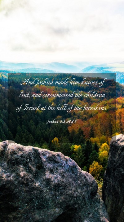 Picture 03 - Joshua 5:3 ASV Mobile Phone Wallpaper - And Joshua made him knives of lint, and - Mobile Bible Verse Wallpaper