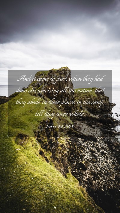 Picture 03 - Joshua 5:8 ASV Mobile Phone Wallpaper - And it came to pass, when they had done - Mobile Bible Verse Wallpaper