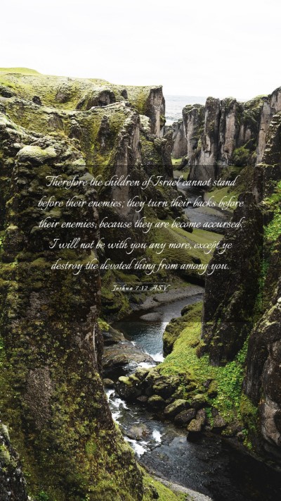 Picture 03 - Joshua 7:12 ASV Mobile Phone Wallpaper - Therefore the children of Israel cannot stand - Mobile Bible Verse Wallpaper