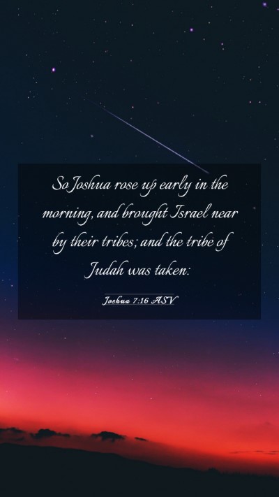Picture 03 - Joshua 7:16 ASV Mobile Phone Wallpaper - So Joshua rose up early in the morning, and - Mobile Bible Verse Wallpaper