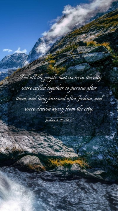 Picture 03 - Joshua 8:16 ASV Mobile Phone Wallpaper - And all the people that were in the city were - Mobile Bible Verse Wallpaper