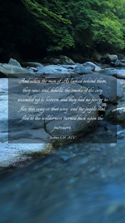 Picture 03 - Joshua 8:20 ASV Mobile Phone Wallpaper - And when the men of Ai looked behind them, they - Mobile Bible Verse Wallpaper