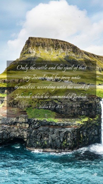 Picture 03 - Joshua 8:27 ASV Mobile Phone Wallpaper - Only the cattle and the spoil of that city Israel - Mobile Bible Verse Wallpaper