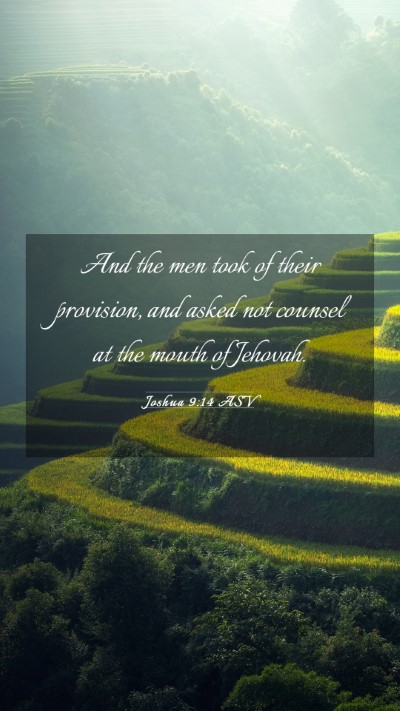 Picture 03 - Joshua 9:14 ASV Mobile Phone Wallpaper - And the men took of their provision, and asked - Mobile Bible Verse Wallpaper
