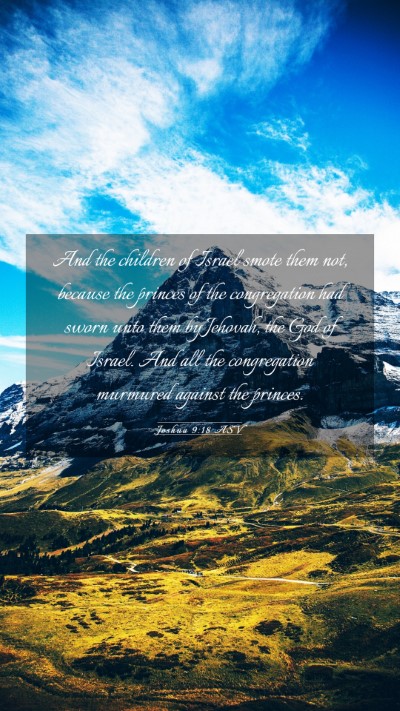 Picture 03 - Joshua 9:18 ASV Mobile Phone Wallpaper - And the children of Israel smote them not, - Mobile Bible Verse Wallpaper