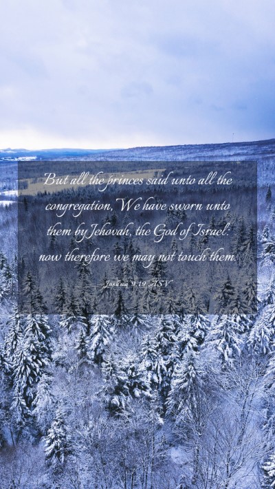 Picture 03 - Joshua 9:19 ASV Mobile Phone Wallpaper - But all the princes said unto all the - Mobile Bible Verse Wallpaper