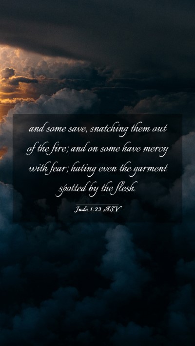 Picture 03 - Jude 1:23 ASV Mobile Phone Wallpaper - and some save, snatching them out of the fire; - Mobile Bible Verse Wallpaper