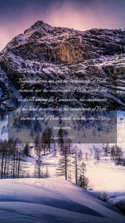 Picture 03 - Judges 1:33 ASV Mobile Phone Wallpaper - Naphtali drove not out the inhabitants of - Mobile Bible Verse Wallpaper