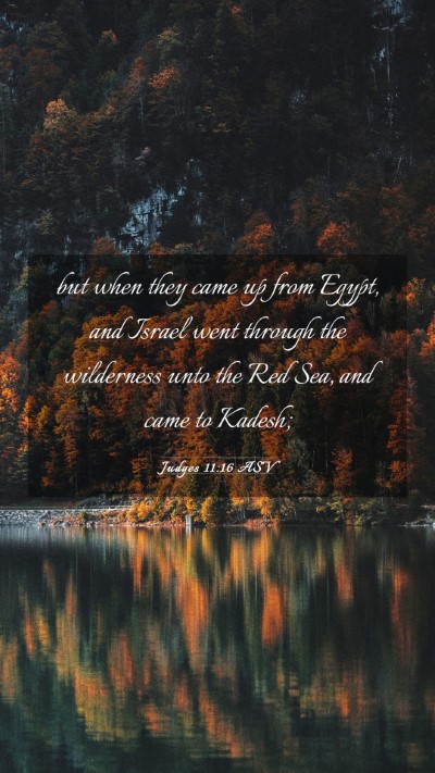 Picture 03 - Judges 11:16 ASV Mobile Phone Wallpaper - but when they came up from Egypt, and Israel went - Mobile Bible Verse Wallpaper