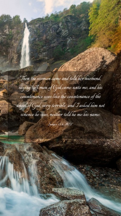 Picture 03 - Judges 13:6 ASV Mobile Phone Wallpaper - Then the woman came and told her husband, saying, - Mobile Bible Verse Wallpaper
