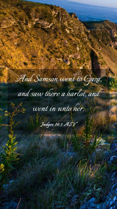 Picture 03 - Judges 16:1 ASV Mobile Phone Wallpaper - And Samson went to Gaza, and saw there a harlot, - Mobile Bible Verse Wallpaper