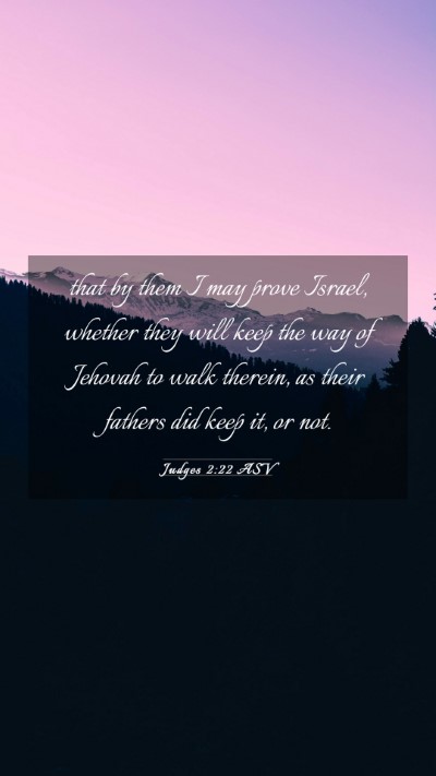 Picture 03 - Judges 2:22 ASV Mobile Phone Wallpaper - that by them I may prove Israel, whether they - Mobile Bible Verse Wallpaper