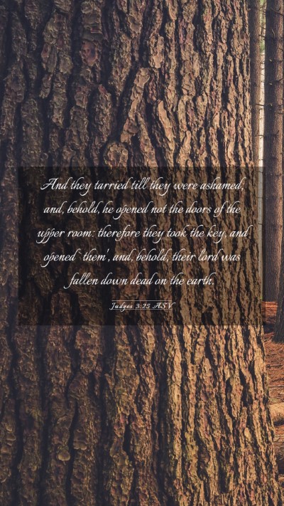 Picture 03 - Judges 3:25 ASV Mobile Phone Wallpaper - And they tarried till they were ashamed; and, - Mobile Bible Verse Wallpaper