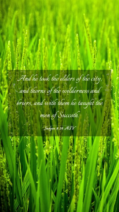 Picture 03 - Judges 8:16 ASV Mobile Phone Wallpaper - And he took the elders of the city, and thorns of - Mobile Bible Verse Wallpaper