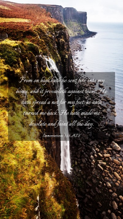 Picture 03 - Lamentations 1:13 ASV Mobile Phone Wallpaper - From on high hath he sent fire into my bones, and - Mobile Bible Verse Wallpaper