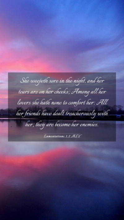 Picture 03 - Lamentations 1:2 ASV Mobile Phone Wallpaper - She weepeth sore in the night, and her tears are - Mobile Bible Verse Wallpaper