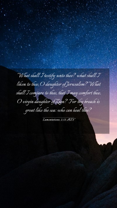 Picture 03 - Lamentations 2:13 ASV Mobile Phone Wallpaper - What shall I testify unto thee? what shall I - Mobile Bible Verse Wallpaper