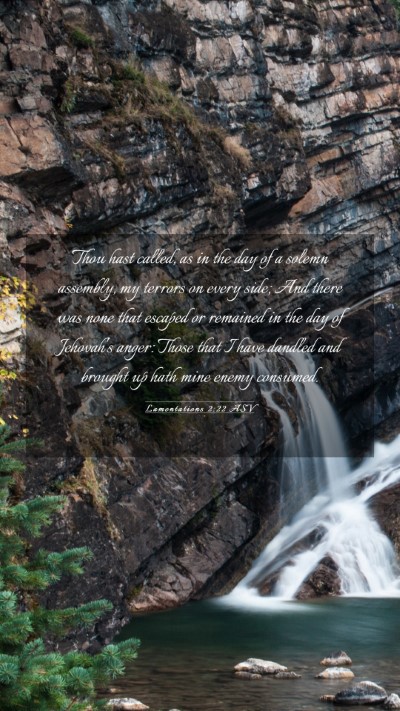 Picture 03 - Lamentations 2:22 ASV Mobile Phone Wallpaper - Thou hast called, as in the day of a solemn - Mobile Bible Verse Wallpaper