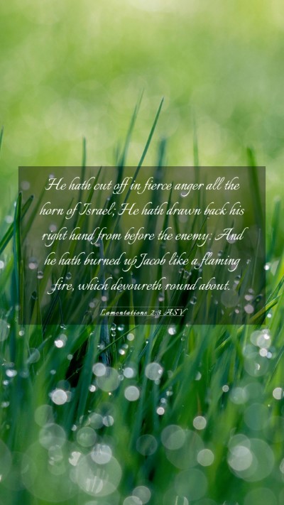 Picture 03 - Lamentations 2:3 ASV Mobile Phone Wallpaper - He hath cut off in fierce anger all the horn of - Mobile Bible Verse Wallpaper