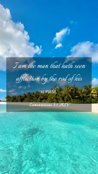 Picture 03 - Lamentations 3:1 ASV Mobile Phone Wallpaper - I am the man that hath seen affliction by the rod - Mobile Bible Verse Wallpaper