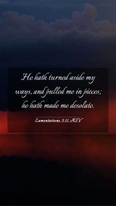 Picture 03 - Lamentations 3:11 ASV Mobile Phone Wallpaper - He hath turned aside my ways, and pulled me in - Mobile Bible Verse Wallpaper