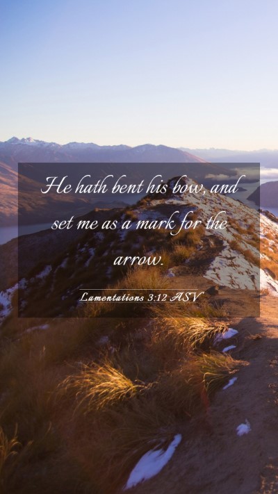 Picture 03 - Lamentations 3:12 ASV Mobile Phone Wallpaper - He hath bent his bow, and set me as a mark for - Mobile Bible Verse Wallpaper