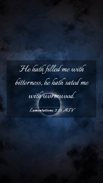 Picture 03 - Lamentations 3:15 ASV Mobile Phone Wallpaper - He hath filled me with bitterness, he hath sated - Mobile Bible Verse Wallpaper