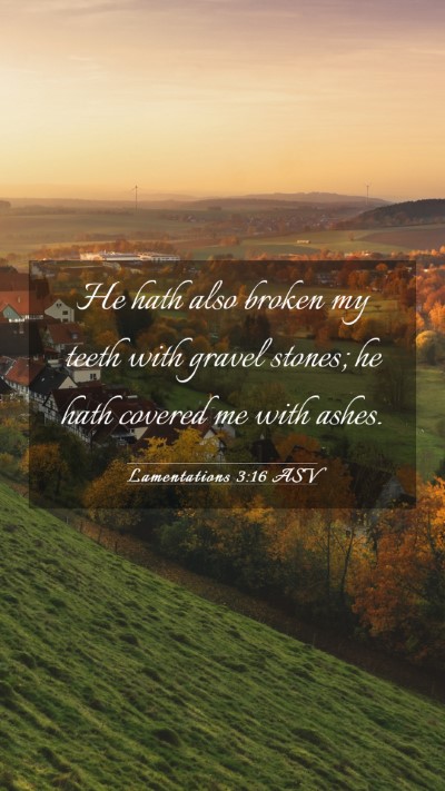 Picture 03 - Lamentations 3:16 ASV Mobile Phone Wallpaper - He hath also broken my teeth with gravel stones; - Mobile Bible Verse Wallpaper