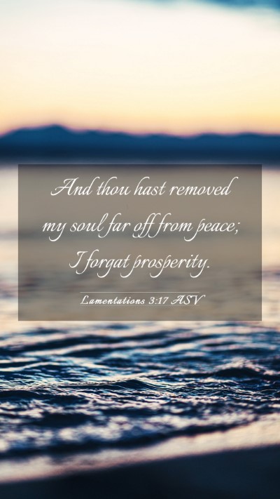 Picture 03 - Lamentations 3:17 ASV Mobile Phone Wallpaper - And thou hast removed my soul far off from peace; - Mobile Bible Verse Wallpaper